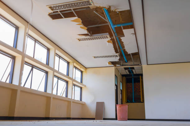Best Water damage restoration process  in Menard, TX