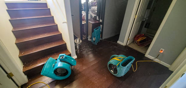 Best Flood damage cleanup  in Menard, TX