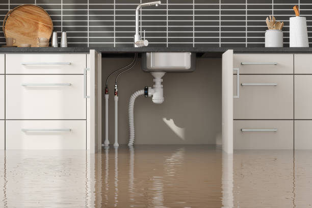 Best Flood restoration services  in Menard, TX